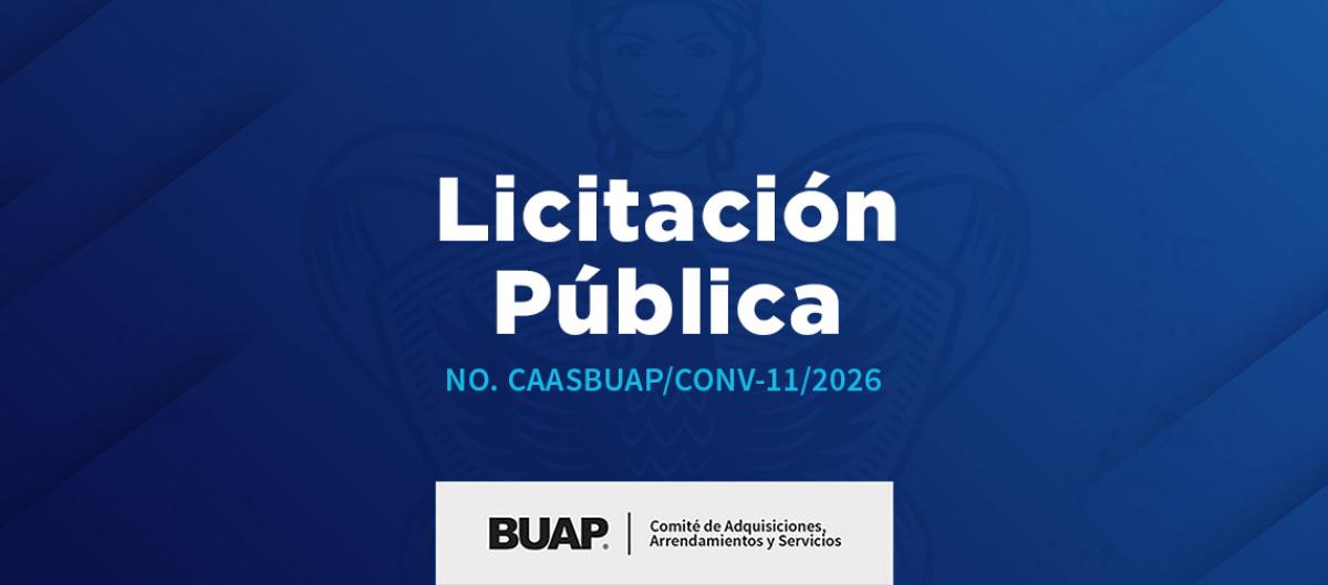 Licitación 11-2026