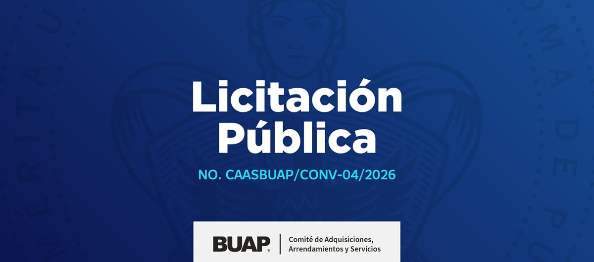 Licitación Pública 04-2026