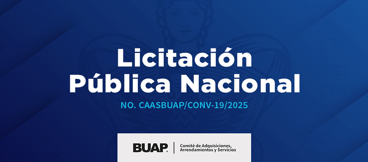 Licitación 19